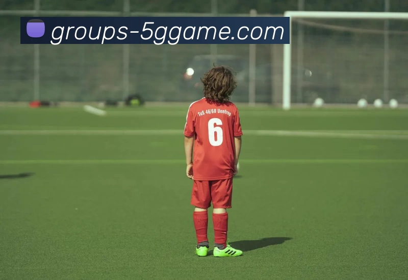 5G电子模拟器官网发展历程